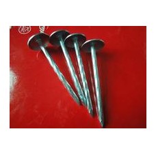 مسامير الصلب المشتركة  مسامير الصلب المشتركة